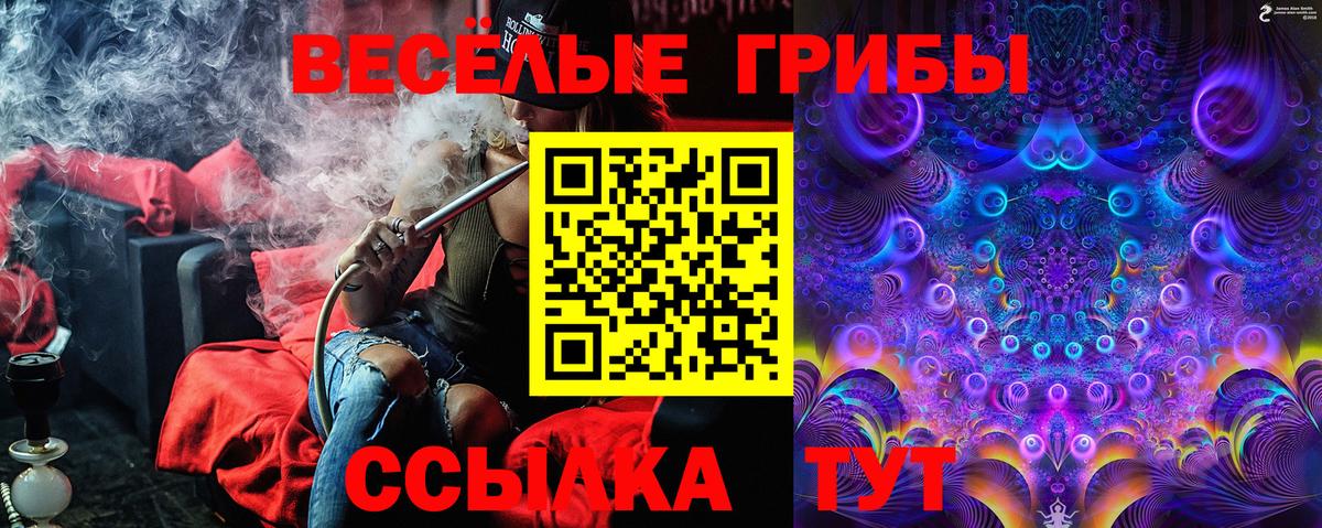 Псилоцибиновые грибы Psilocybine cubensis  Вход с VPN  Зерноград  Галлюциногенные грибы мухоморы 